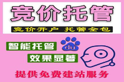 某企业通过SEM运营实现业绩翻倍的秘诀
