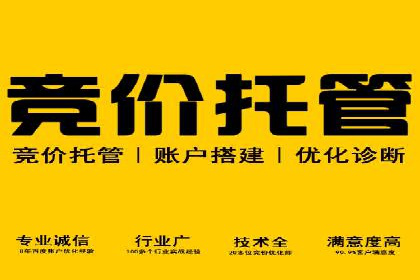 某某sem代运营公司：打造高效广告投放的秘诀